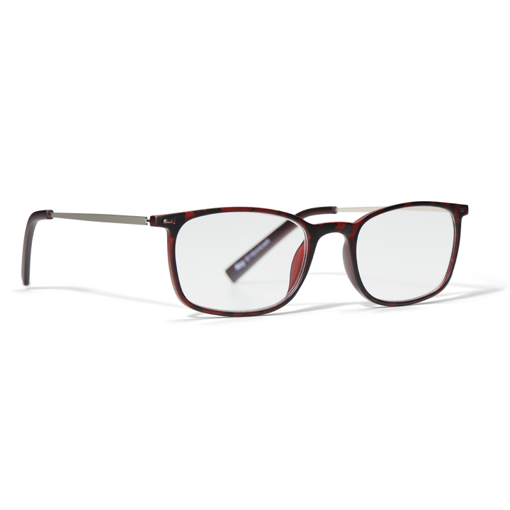 RG-4002B Newman