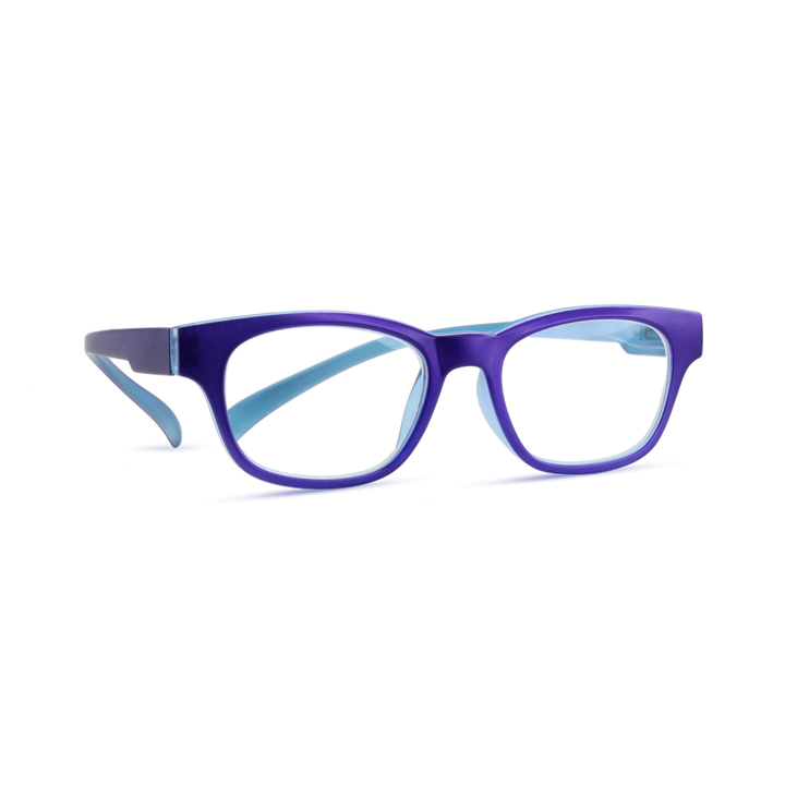 RG-4010B Fisher